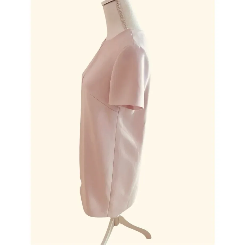 Kate Spade Pink Sheath Dress Size 2
